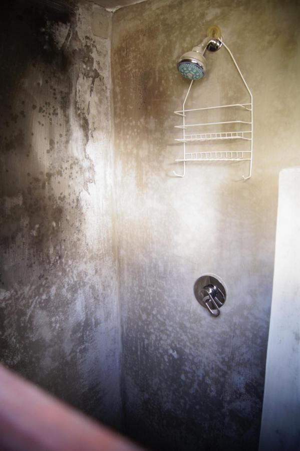Catre De Mi Corazon Hostel Xalapa Ngoại thất bức ảnh