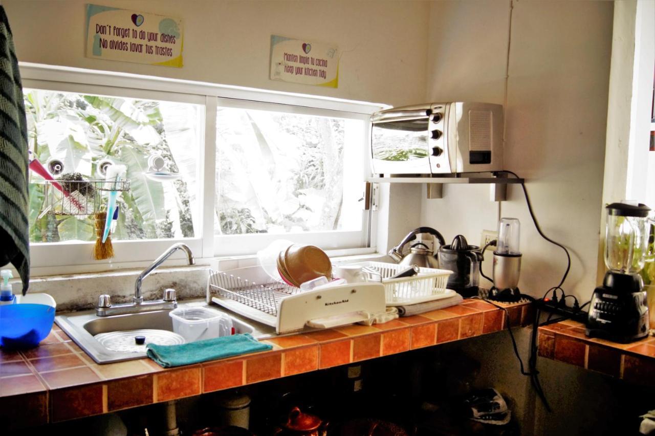 Catre De Mi Corazon Hostel Xalapa Ngoại thất bức ảnh