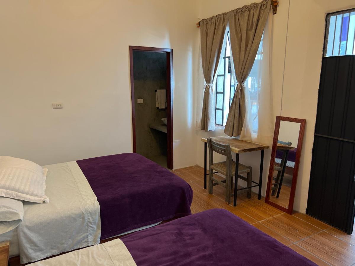 Catre De Mi Corazon Hostel Xalapa Ngoại thất bức ảnh