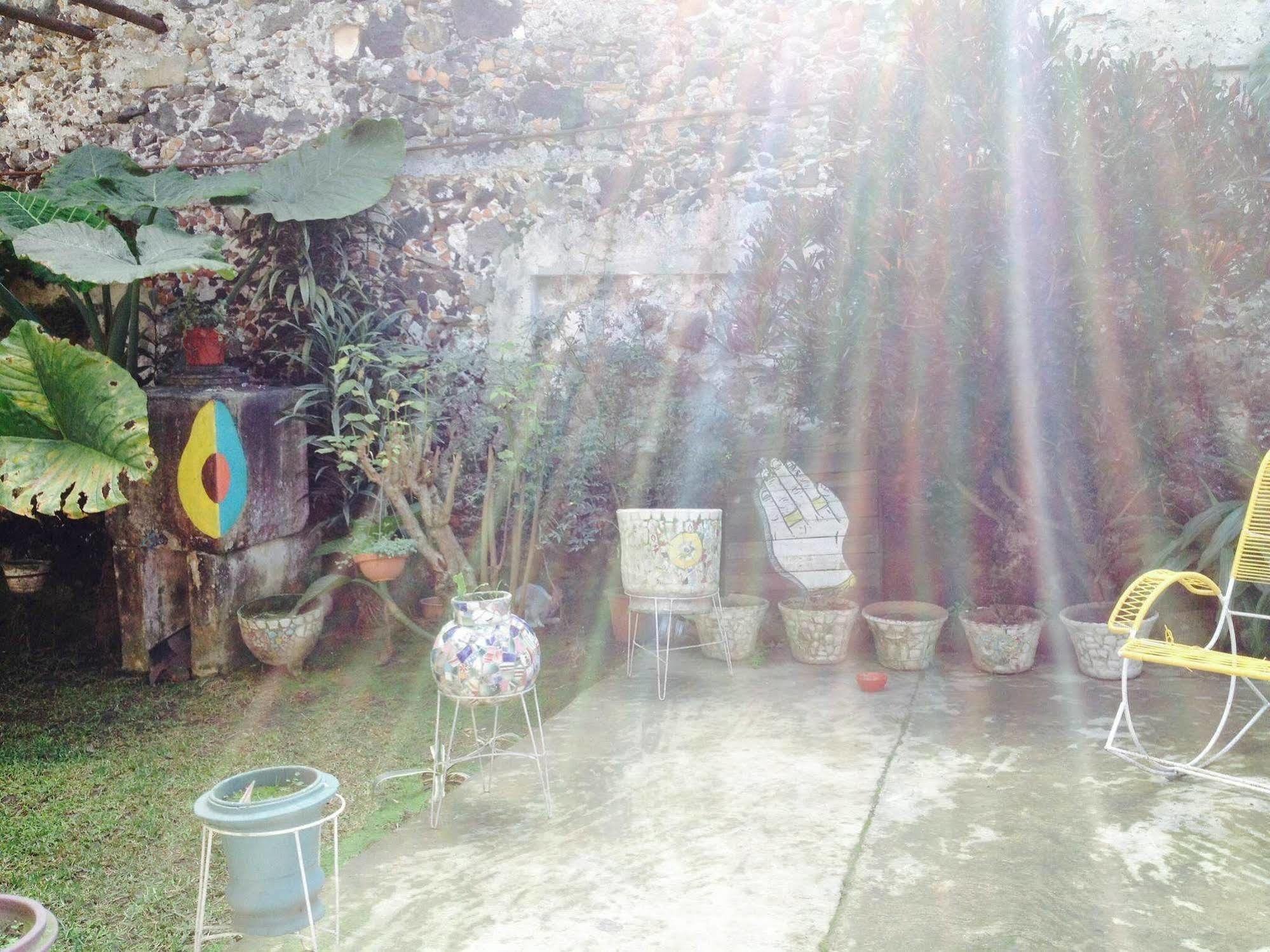 Catre De Mi Corazon Hostel Xalapa Ngoại thất bức ảnh