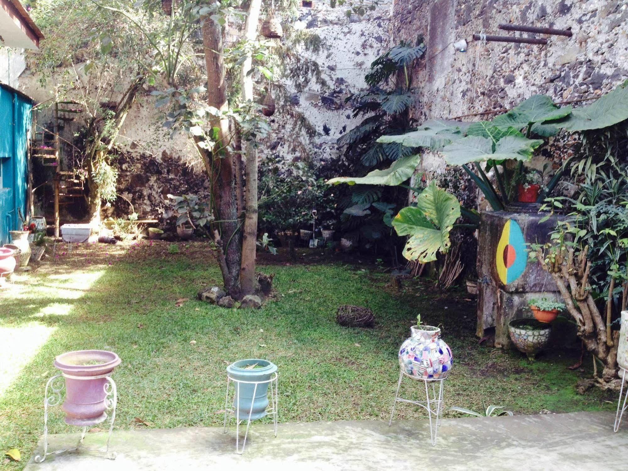 Catre De Mi Corazon Hostel Xalapa Ngoại thất bức ảnh
